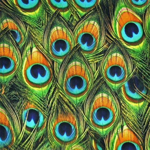 peacock feather digital - homedecor fabric