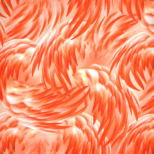 imaginings - feathers in flamingo - designer cotton fabric