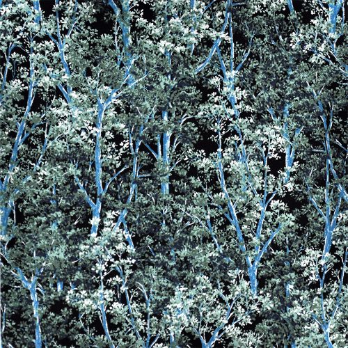 in the moonlight - trees in forest - designer cotton fabric