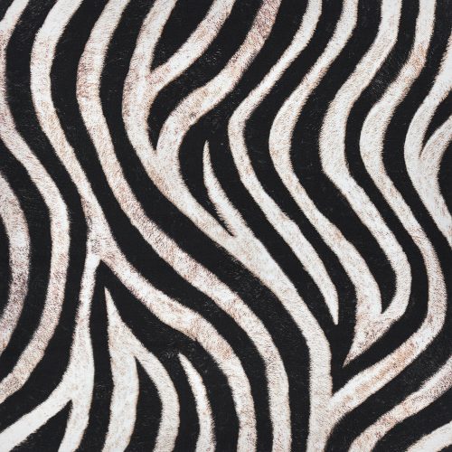 animal kingdom - zebra in wild - designer cotton fabric