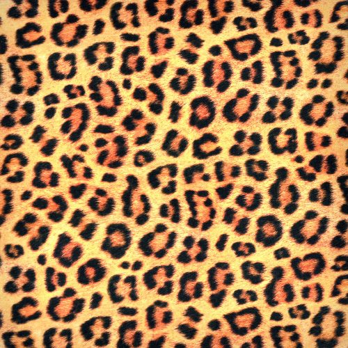 animal kingdom - leopard in wild - designer cotton fabric