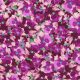 painterly petals - floral in plum - designer cotton fabric