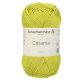 anise (245) - Catania yarn
